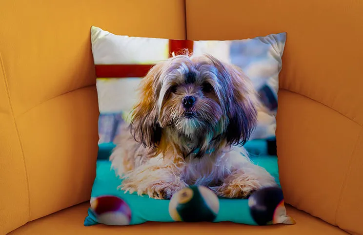 Throw Pillow