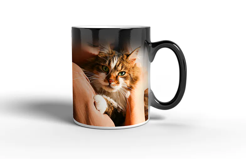 Magic Mug